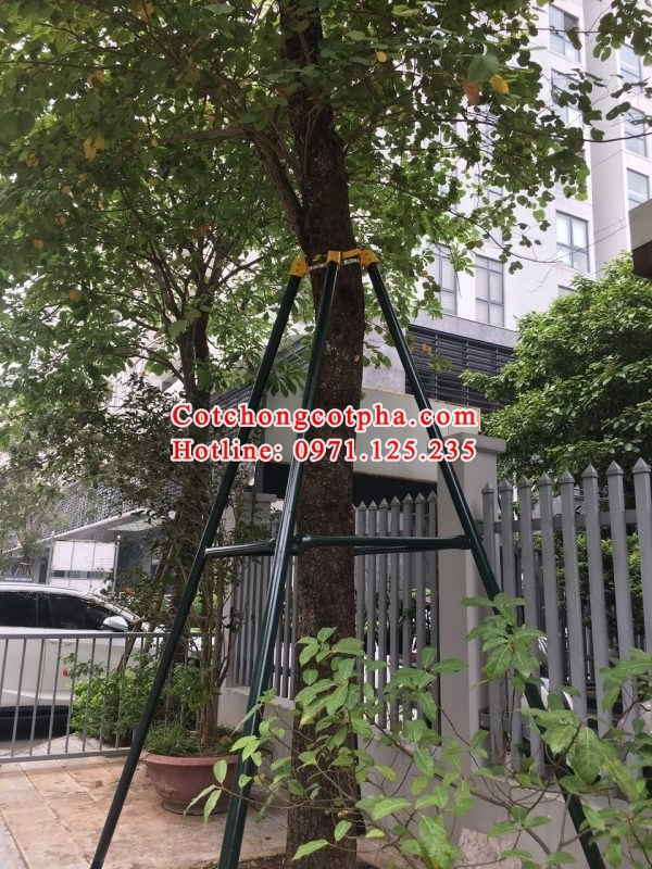 Cột chống cây xanh Hà Nội