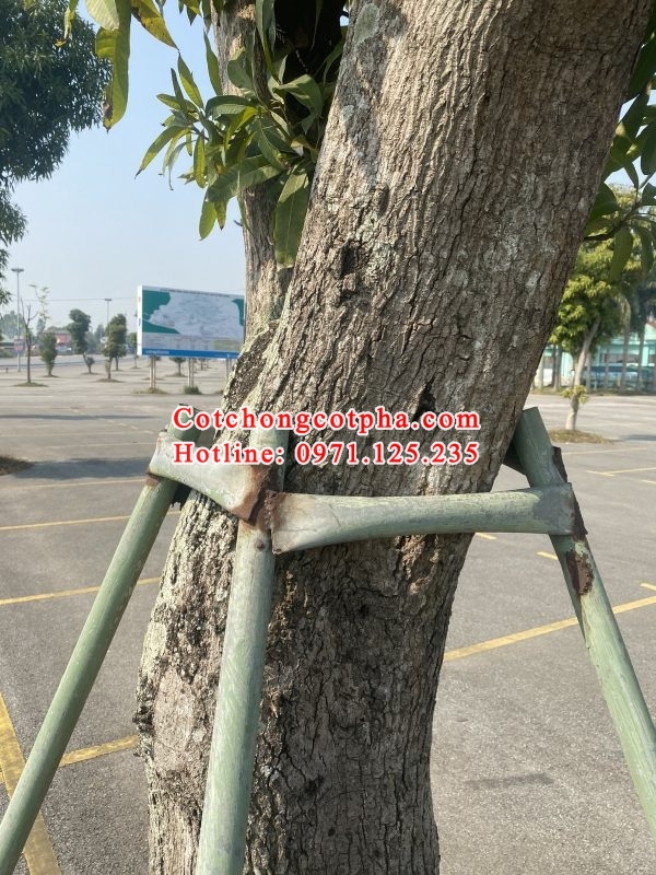 cột chống cây xanh tại Hà Nội