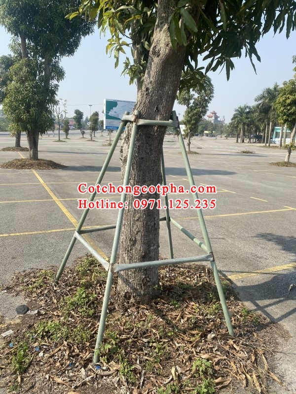 chống cây xanh chất lượng cao ở Hà Nội