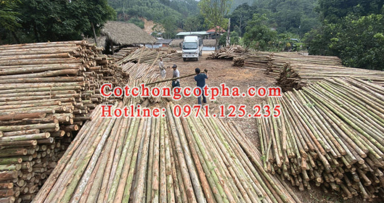 cột chống cốt pha