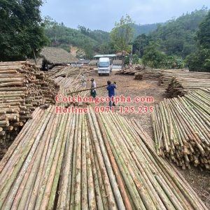 Cung cấp cột chống cốt pha tại Phú Thọ giá rẻ
