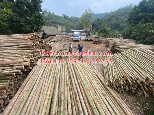 Cung cấp cột chống cốt pha tại Phú Thọ giá rẻ